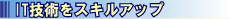 IT�Z�p���X�L���A�b�v